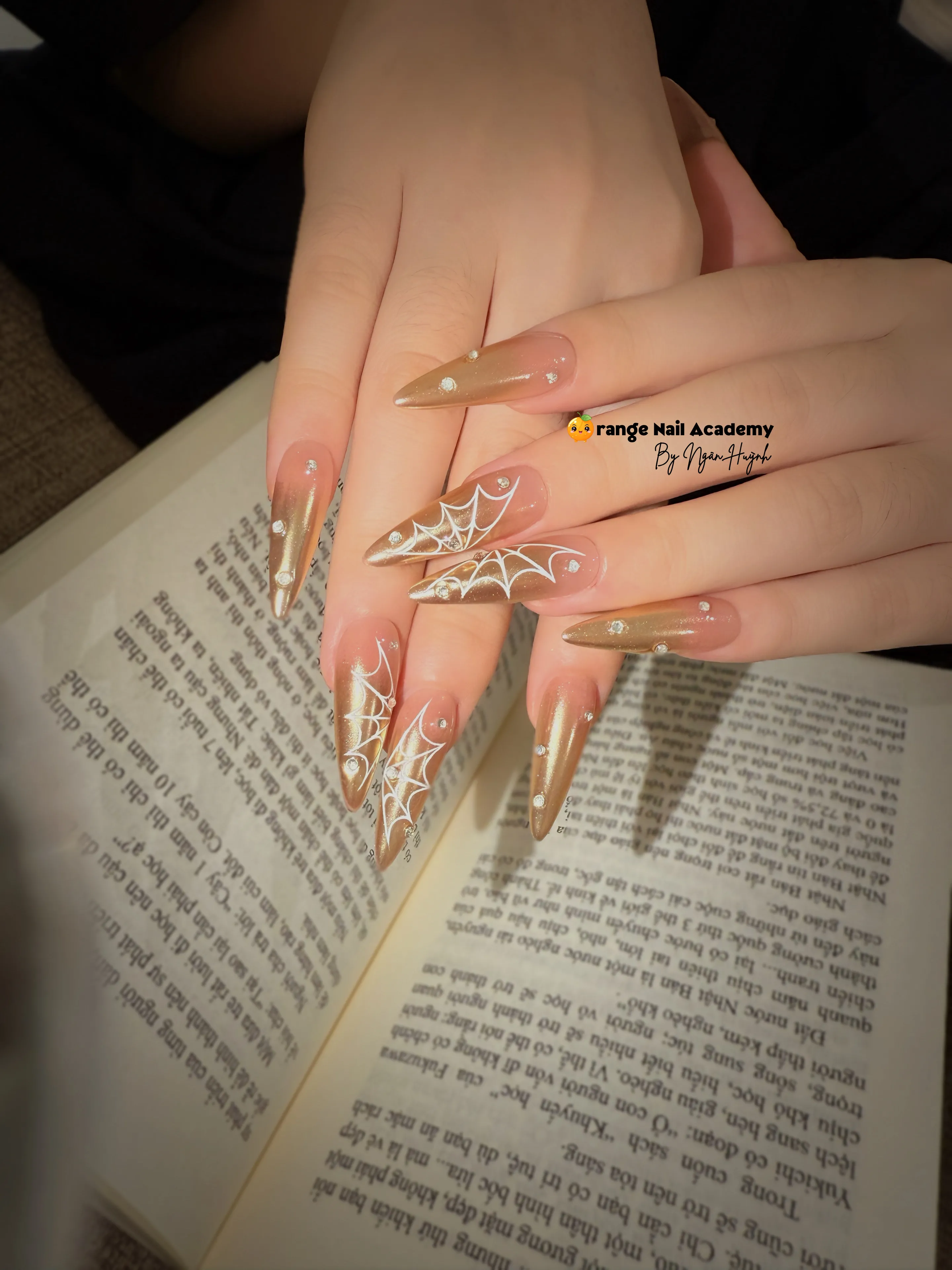 Không khí salon đẹp thanh lịch